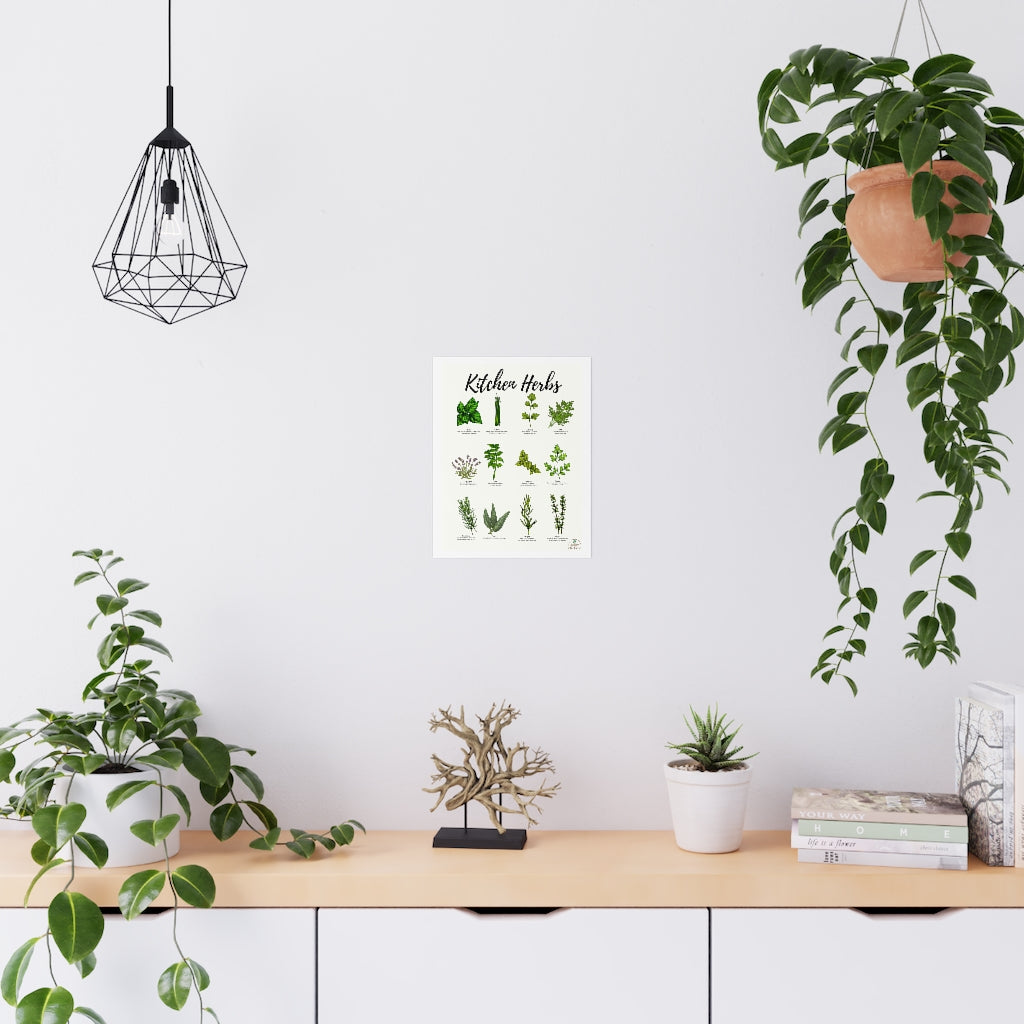 Kitchen Herbs Premium Matte Posters