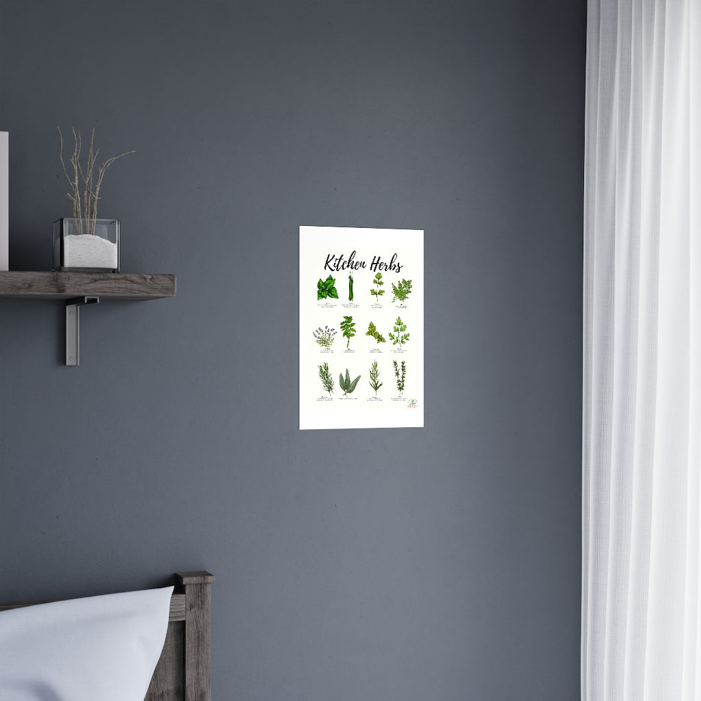 Kitchen Herbs Premium Matte Posters