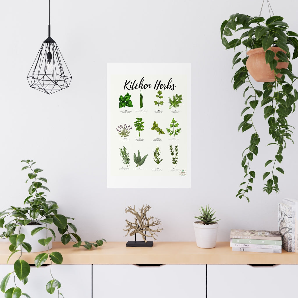Kitchen Herbs Premium Matte Posters
