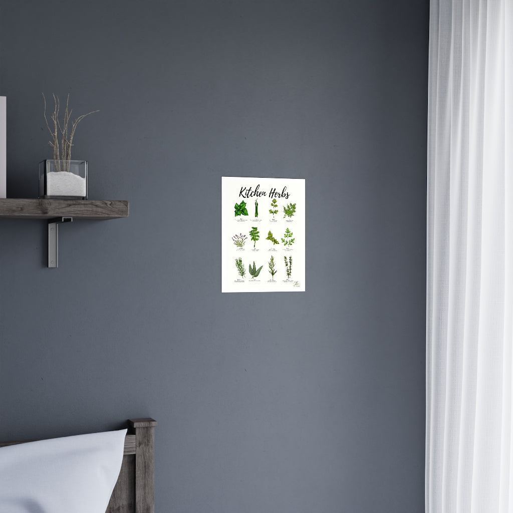 Kitchen Herbs Premium Matte Posters