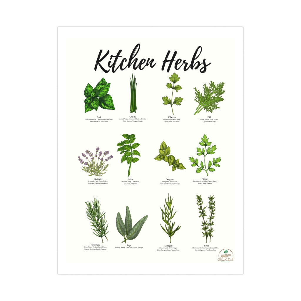 Kitchen Herbs Premium Matte Posters