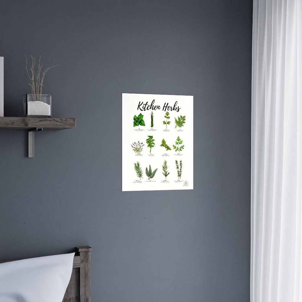 Kitchen Herbs Premium Matte Posters