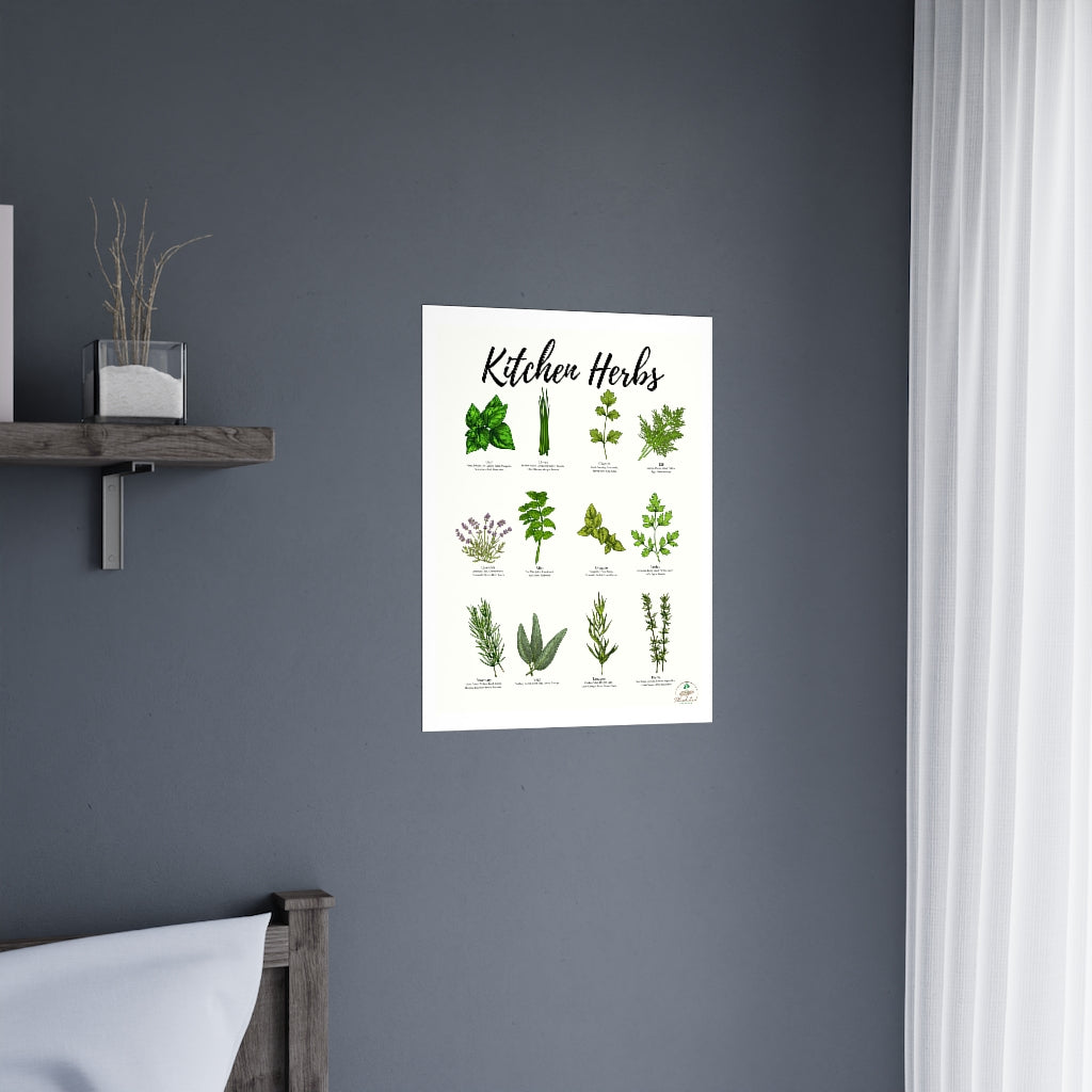 Kitchen Herbs Premium Matte Posters