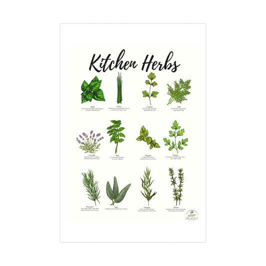 Kitchen Herbs Premium Matte Posters