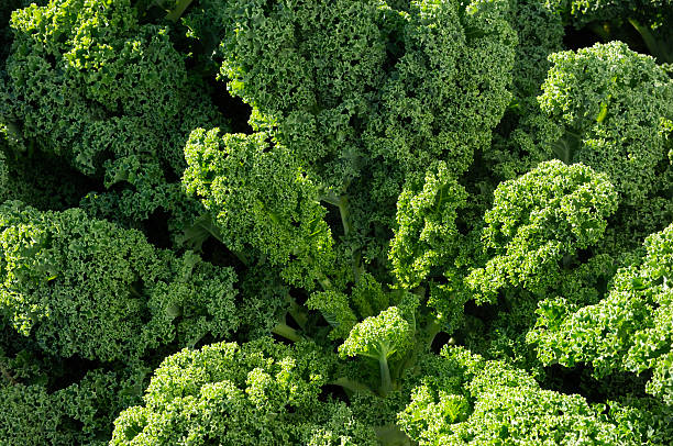 Vegetables