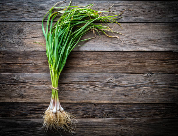 Vegetables