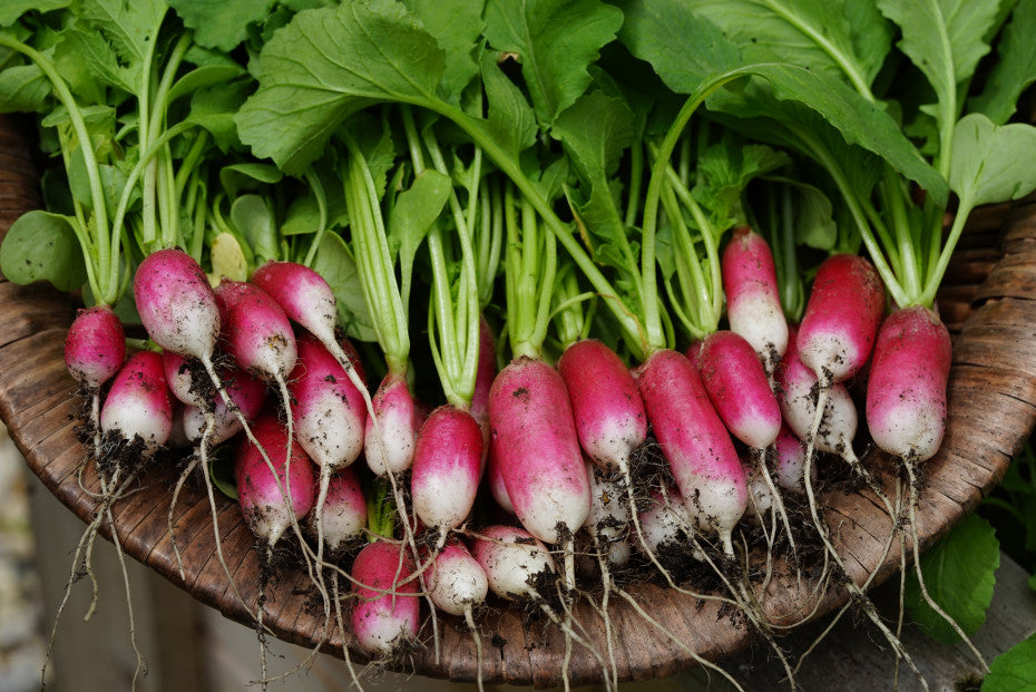 Vegetables