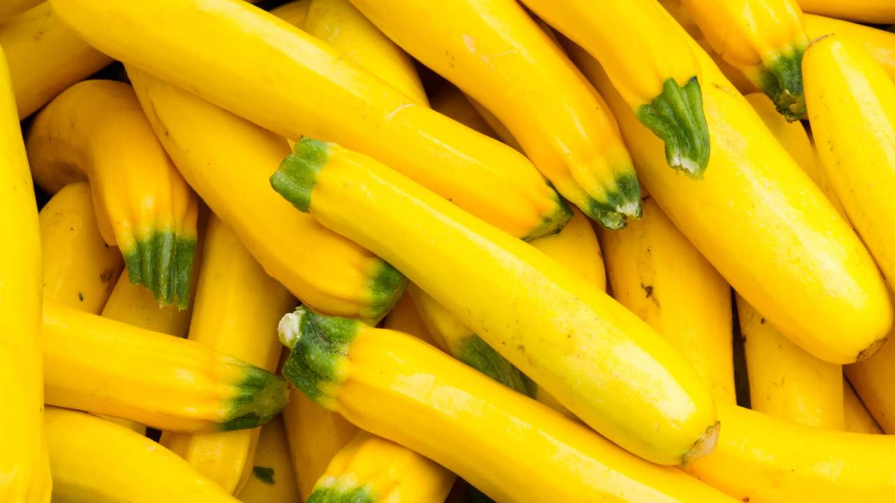 Vegetables