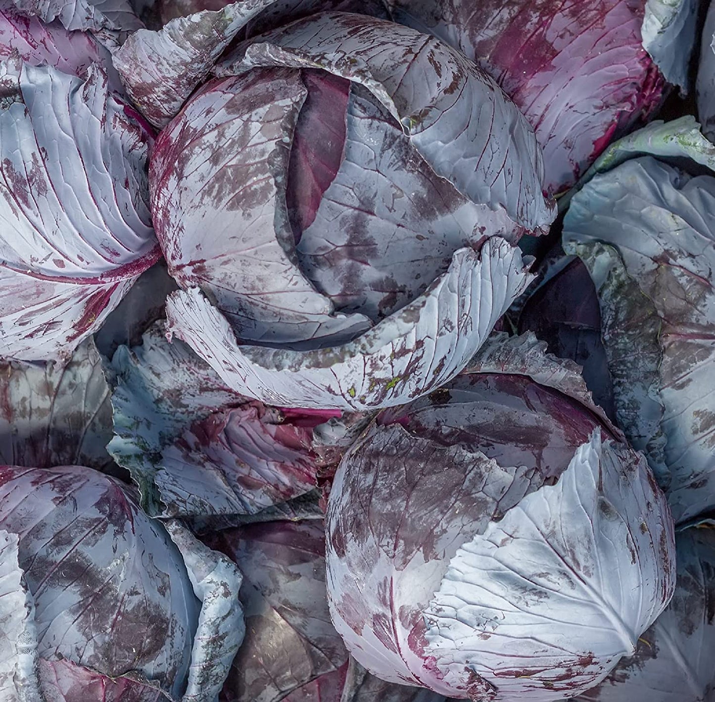 Vegetables