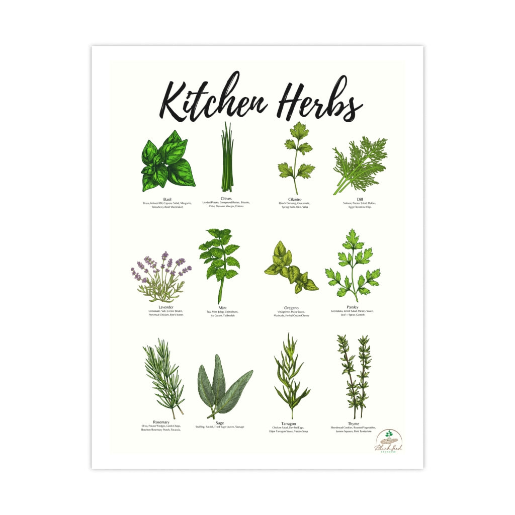 Kitchen Herbs Premium Matte Posters