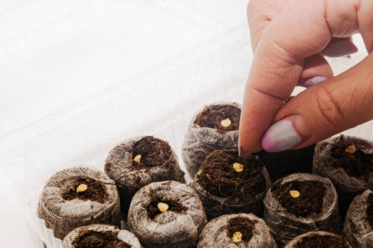 Thai Gardening Kit